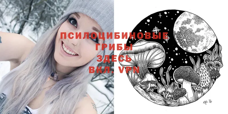 закладка  KRAKEN зеркало  Псилоцибиновые грибы Psilocybe  нарко площадка какой сайт  Павлово 